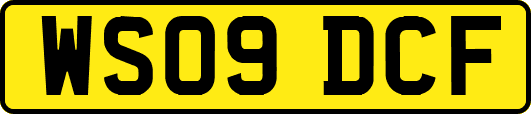 WS09DCF