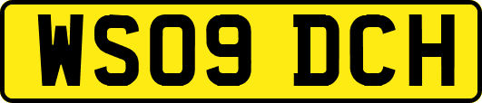 WS09DCH