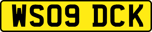 WS09DCK