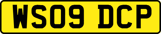 WS09DCP