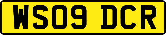 WS09DCR