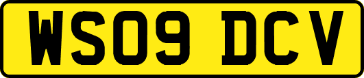WS09DCV
