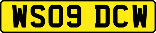 WS09DCW
