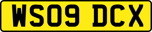 WS09DCX