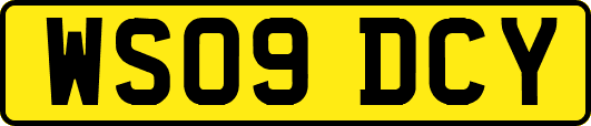 WS09DCY