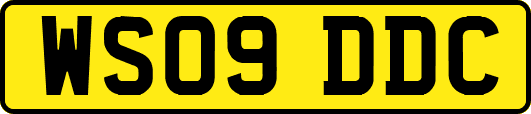 WS09DDC