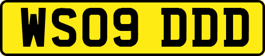 WS09DDD