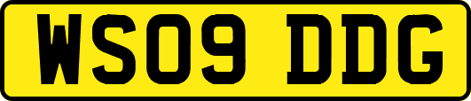 WS09DDG