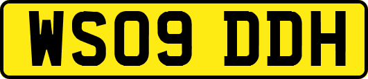WS09DDH