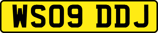 WS09DDJ