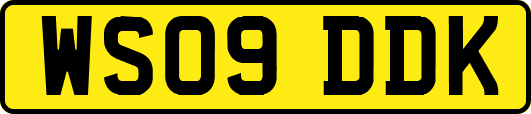 WS09DDK