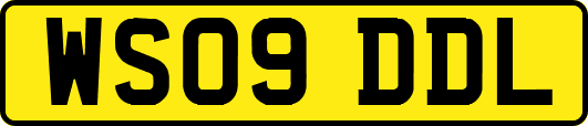 WS09DDL