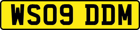 WS09DDM