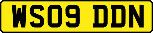 WS09DDN