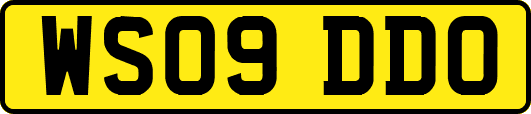 WS09DDO