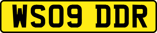 WS09DDR
