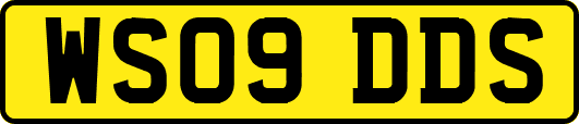 WS09DDS