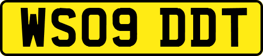 WS09DDT