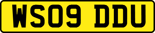 WS09DDU