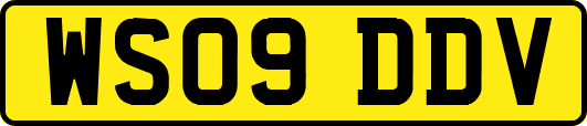 WS09DDV