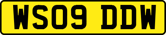 WS09DDW