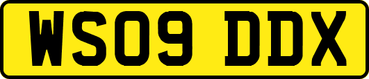 WS09DDX
