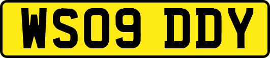 WS09DDY