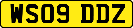 WS09DDZ