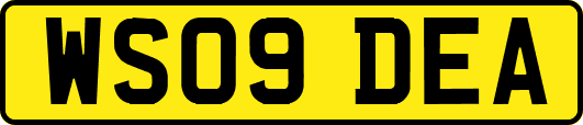 WS09DEA