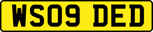 WS09DED