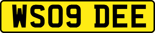 WS09DEE