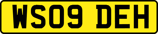 WS09DEH
