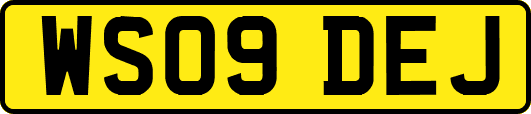 WS09DEJ