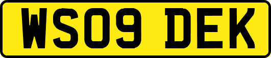 WS09DEK