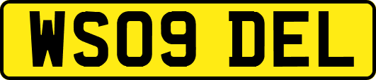 WS09DEL