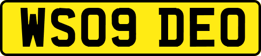 WS09DEO