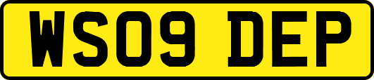 WS09DEP