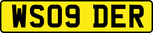 WS09DER