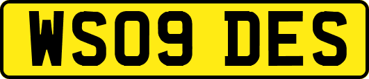 WS09DES