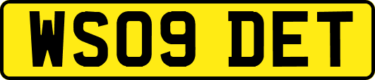 WS09DET