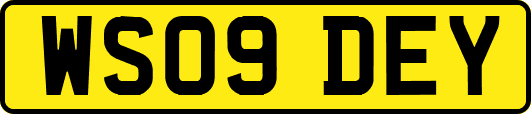 WS09DEY