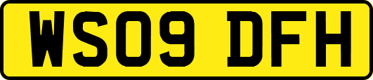 WS09DFH