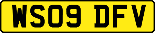 WS09DFV