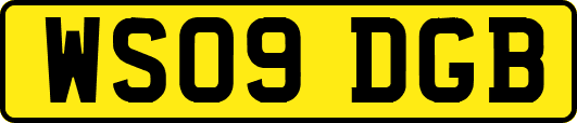 WS09DGB