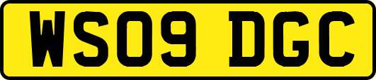 WS09DGC