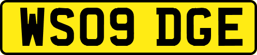 WS09DGE