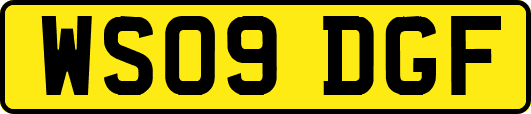 WS09DGF