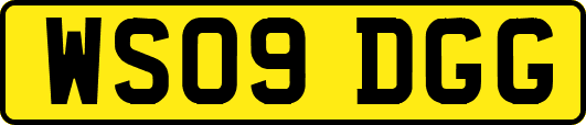 WS09DGG