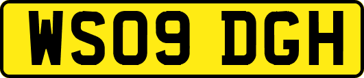 WS09DGH