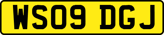 WS09DGJ